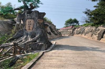 園區(qū)新增景觀(guān)