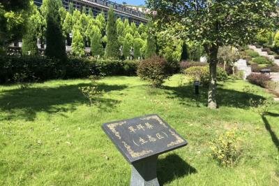 草坪葬